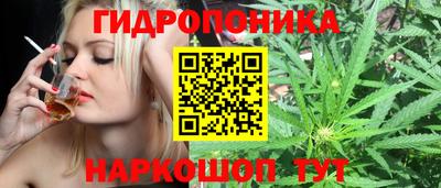 стаф Краснокаменск