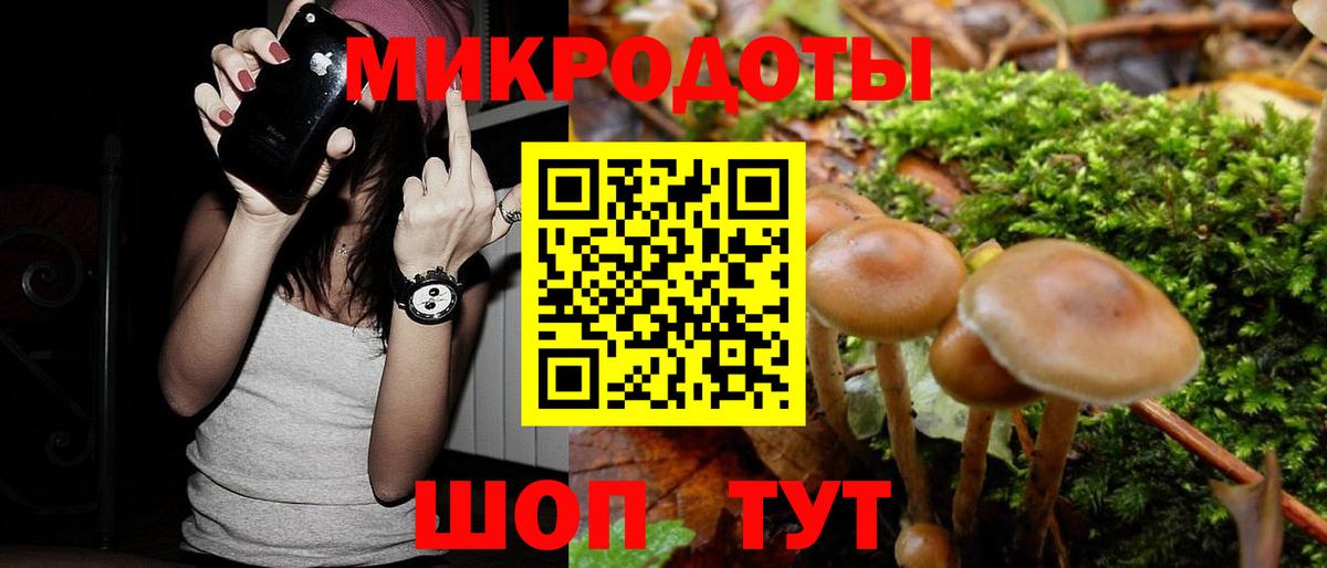 Кизилюрт  Галлюциногенные грибы Magic Shrooms  Вход с VPN 